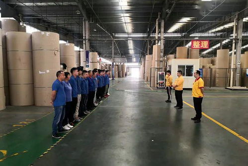 花园建材荣膺东阳市中小企业市长科技创新奖，引领行业绿色转型新篇章